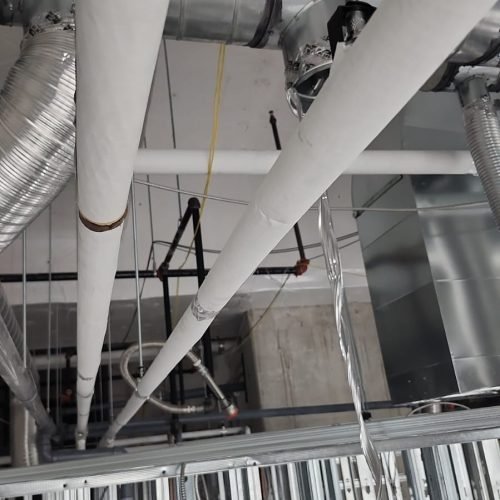 WhatsApp Image 2026-01-11 at 2.53.15 AM